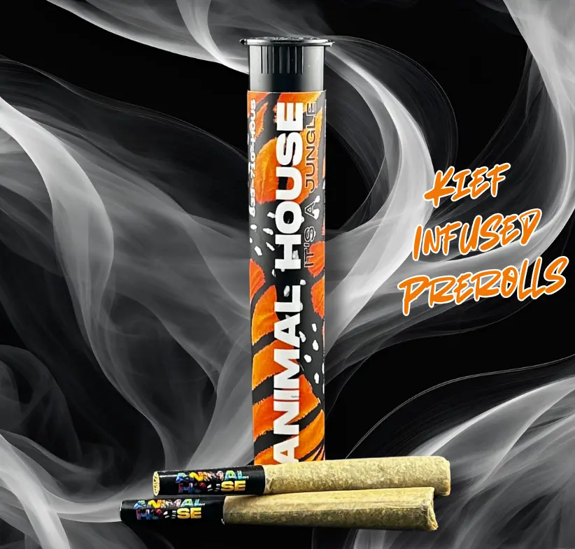 2 PACK INFUSED PRE-ROLLS - GALACTIC GUAVA