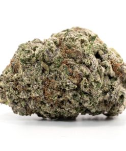 Blackwater Strain