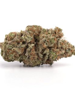 Blueberry Strain