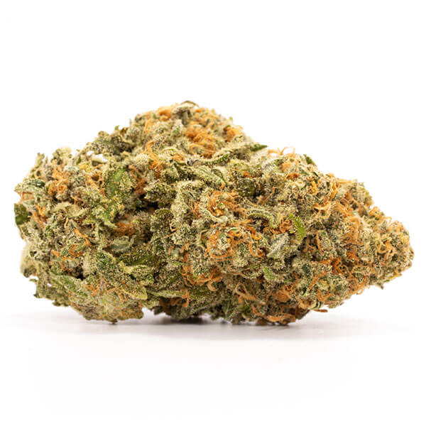 Cherry Pie Strain
