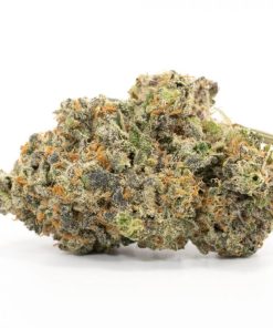 Creme Brulee Strain